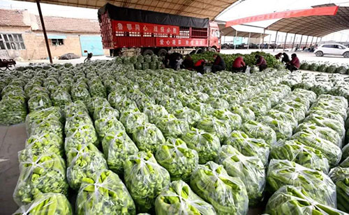 我是湖南長(cháng)沙蔬菜批發(fā)市場(chǎng)，買(mǎi)多少錢(qián)的農藥殘留檢測儀合適？