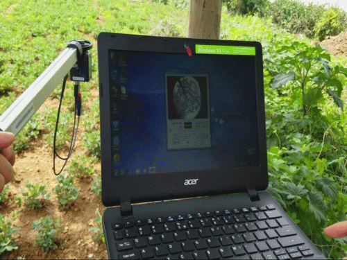 植物冠層圖像分析儀可以測量什么？