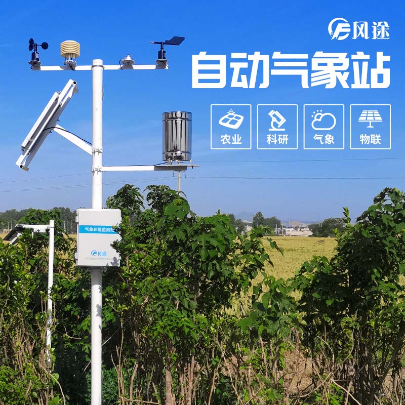 小麥穗期病蟲(chóng)害如何監測？